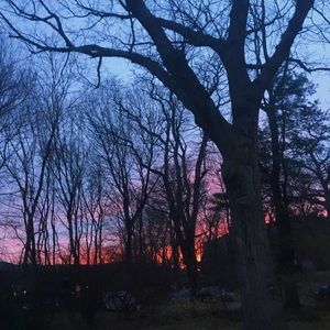 Meet your Posher, Sophia